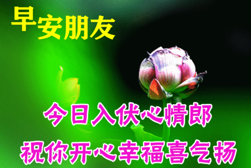 早上好的表情包，2022最火早上好表情包（2022最新早上好表情包）
