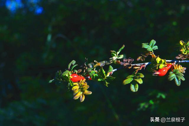 兰州黄土山旅游景点，兰州北山行随感12月23