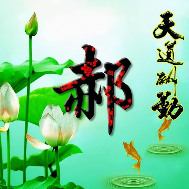 荷花头像图片大全，荷花头像高清图