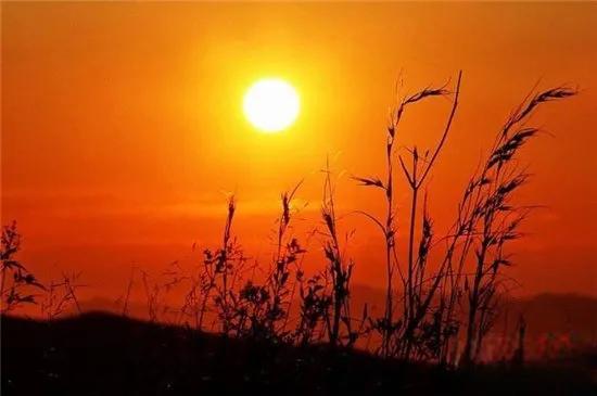太阳的年龄大致为多少，太阳“熄灭”人类多久才能感知