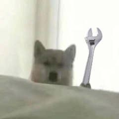 可爱小狗表情包，可爱表情包大全狗子