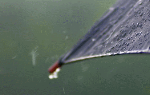 窗前听雨意境，在静怡的时光里听雨