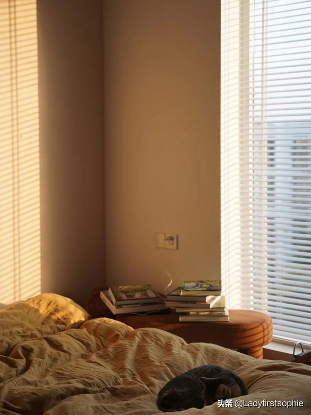 大开间一居室如何布置，110㎡只做一居室