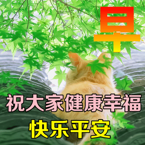 早上好的表情包，2022最火早上好表情包（2022最新早上好表情包）