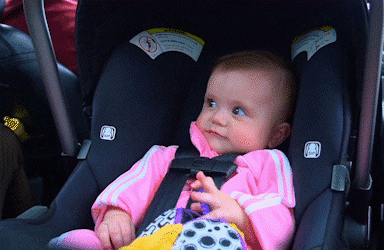 baby的复数，baby复数怎么用（复数遇见y就变i再加es）