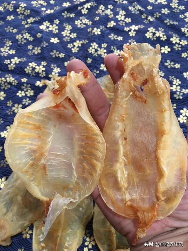 人工合成鱼胶图片，合成鱼胶怎么分辨