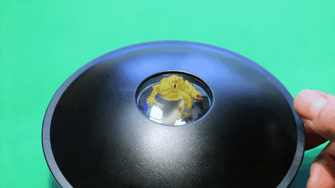 眼睛观赏性十足什么意思，乱花渐欲迷人眼