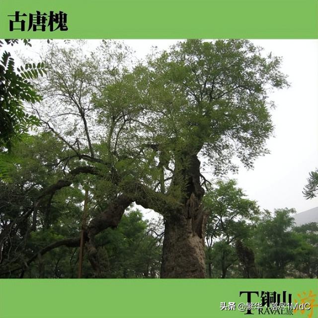 江苏省徐州市泉山区街道，江苏省徐州市下辖区