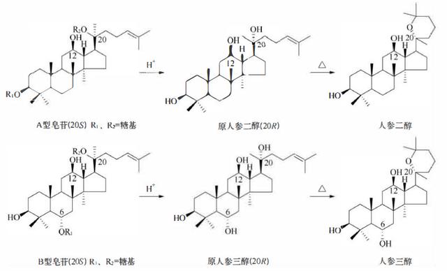 萜类的作用及功能，植物功效成分-三萜及其苷类