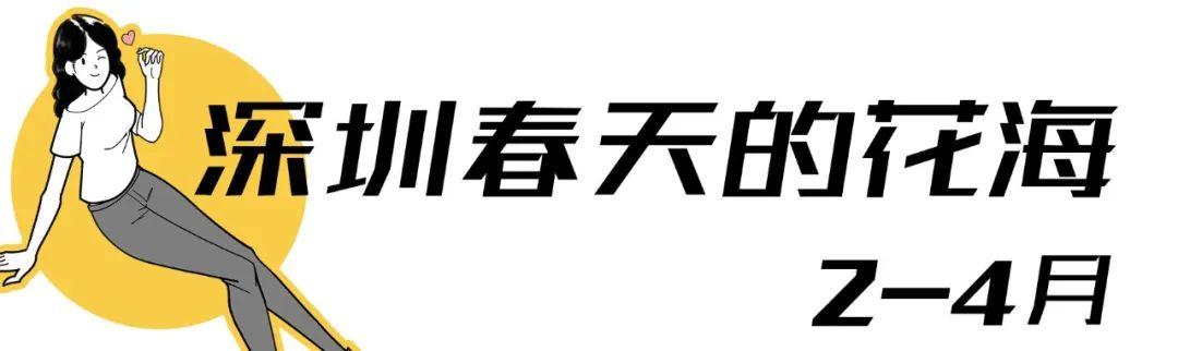 附近看花的地方，深圳最适合去赏花的地方（2023西安及周边赏樱花的地点大全）