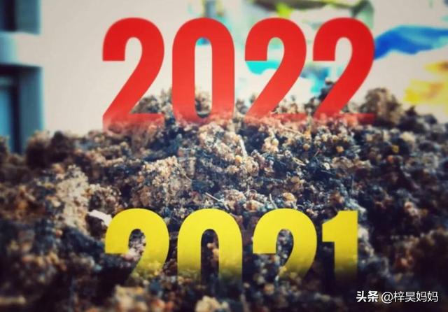 2022年春节祝福语，2022年春节祝福语简短80句（2022年虎年春节祝福语）
