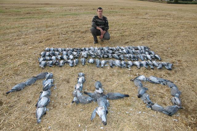 22个你不知道的奥运会冷知识，一分钟了解奥运会历史