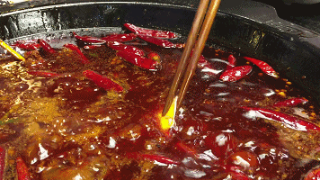 蓝环章鱼居然出现在火锅店，火锅店惊现剧毒蓝环章鱼