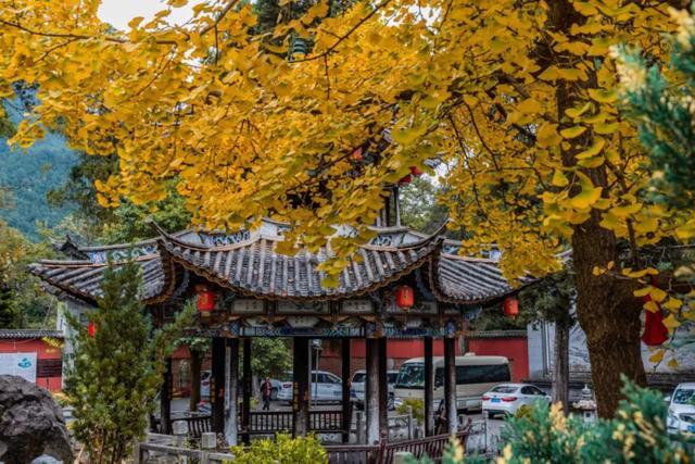 鸡足山旅游攻略，11月免费的大理宾川鸡足山（大理宾川鸡足山景区旅游攻略）