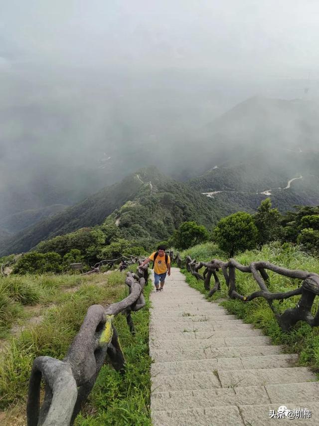 周日打卡鹏城第一峰，从蝴蝶谷-好汉坡步道登顶