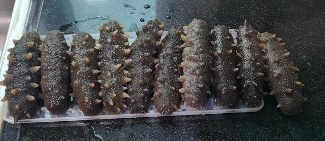 海参泡发的正确方法，泡发海参用对方法（快速泡发海参正确方法）