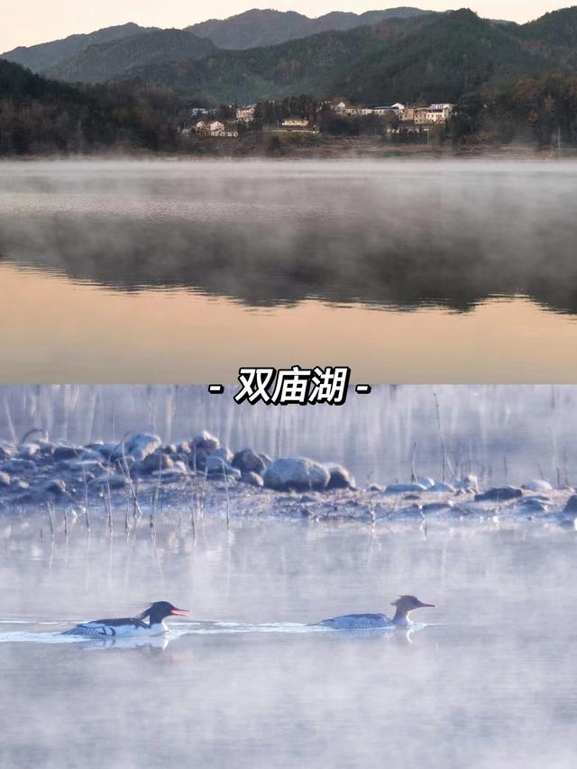 合肥周边哪些城市适合自驾游，长丰一日游景点自驾游攻略