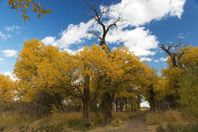 酒泉卫星基地地图，酒泉卫星发射中心地图