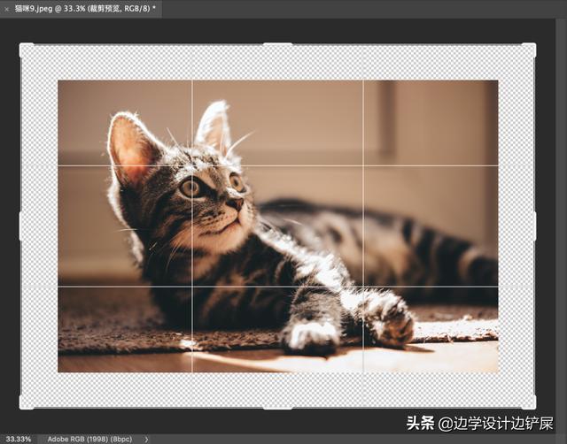 裁剪工具有哪些，什么视频剪辑软件可以裁剪画面
