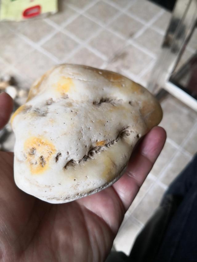 河流寻石记，渭河拾石记