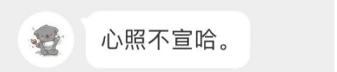 秀智校园暴力，都比不上一起犯傻的岁月