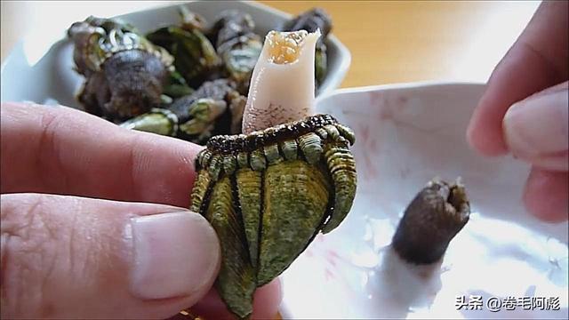 猫咪进化成猫颈鹿，雄性动物有多拼