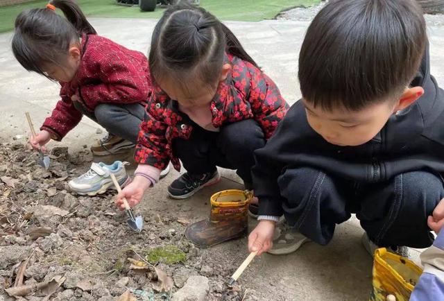 幼儿园自然角在线研讨，小小自然角春意盎然中