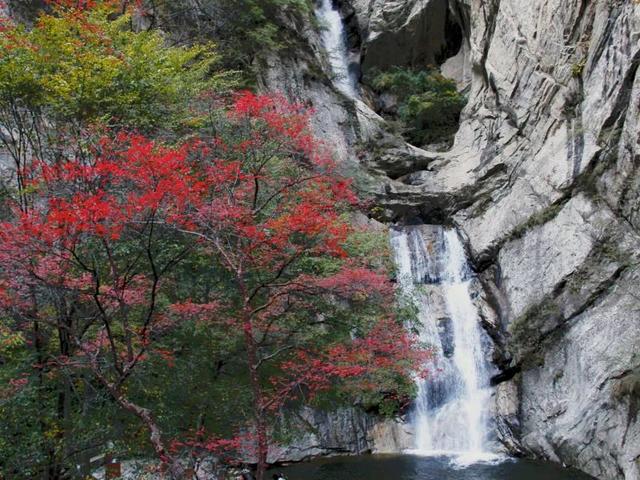 朱雀森林公园旅游攻略一日游，大山深处的朱雀国家森林公园