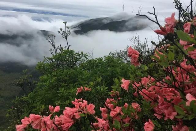 株洲最好的避暑地方，株洲神农谷炎炎夏日避暑攻略