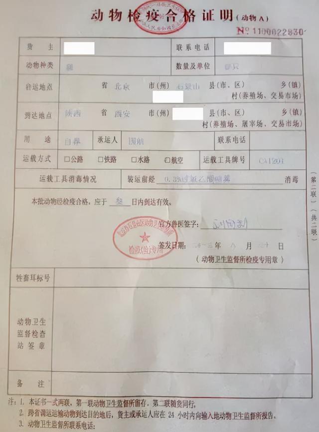 宠物空运需要什么东西，狗狗需托运之空运小贴士