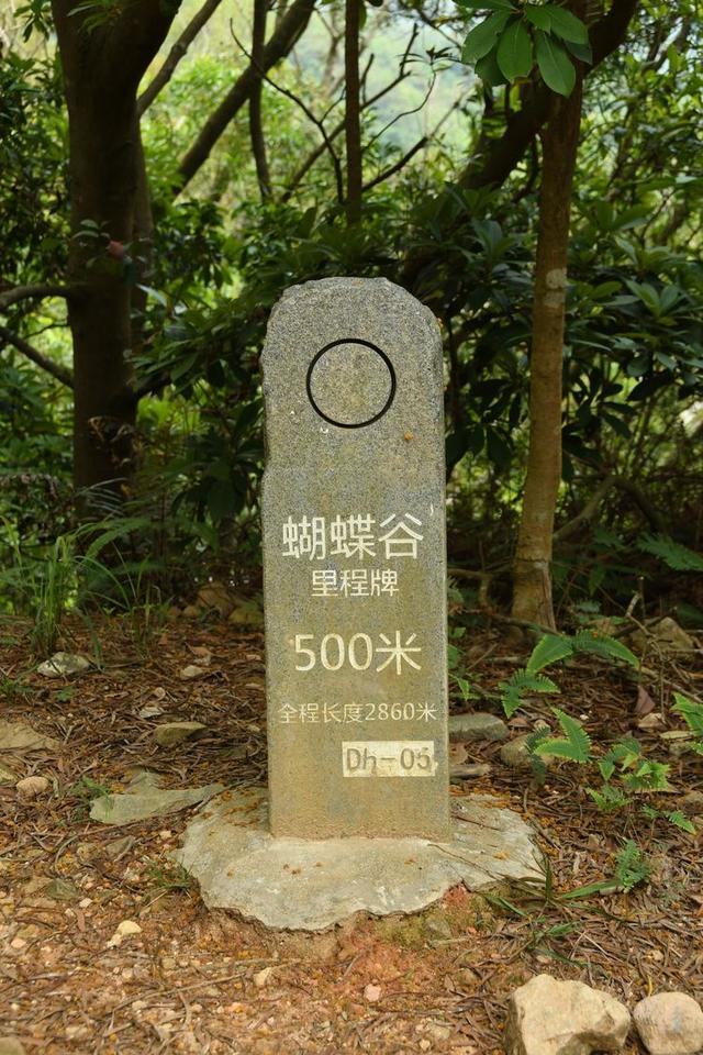 关于深圳梧桐山简介，深圳之巅——梧桐山