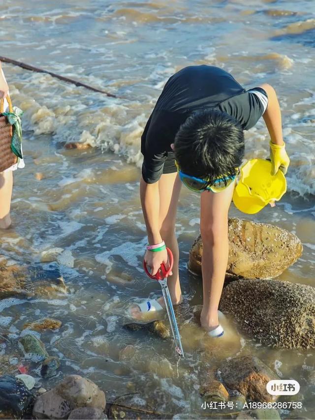 洞头冬天还能不能赶海，天气这么好去洞头赶海啊