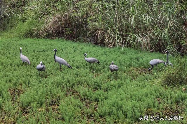 普洱到西双版纳，西双版纳普洱旅游攻略