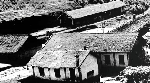 九十年代上海知青，三个上海女知青的故事