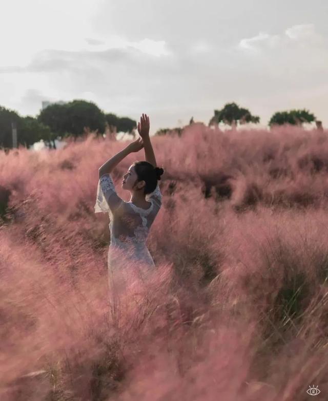 附近看花的地方，深圳最适合去赏花的地方（2023西安及周边赏樱花的地点大全）