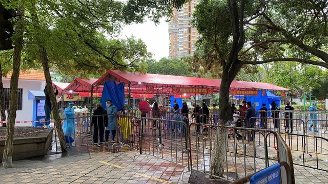 乌鸦哥绘画，阿庆哥画鸟