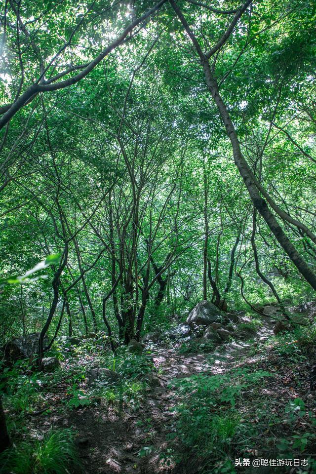 北京徒步登山怀柔麟龙山，平安山徒步一日游