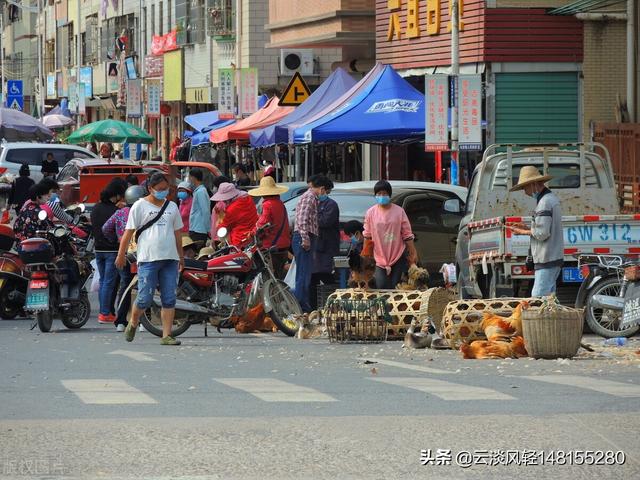 农村老人养老问题，农村老人养老问题及解决方法（老农：我们交了一辈子公粮）