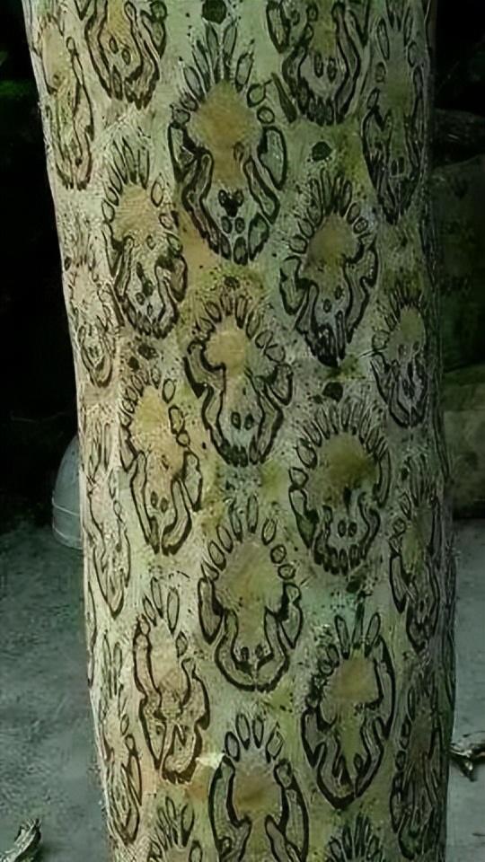 最惊艳的四种文玩，这5种文玩手串