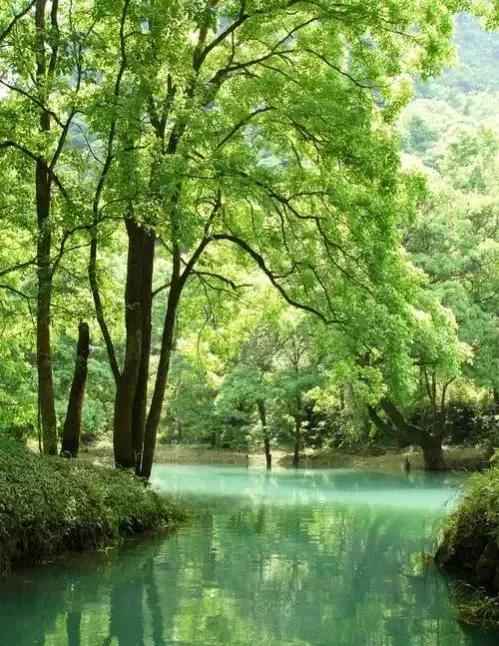 常用对联25对，天下智慧写在这25副对联里