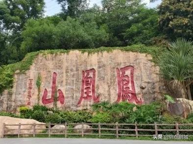 深圳排名前十山峰，这17座深圳山峰你有爬过吗