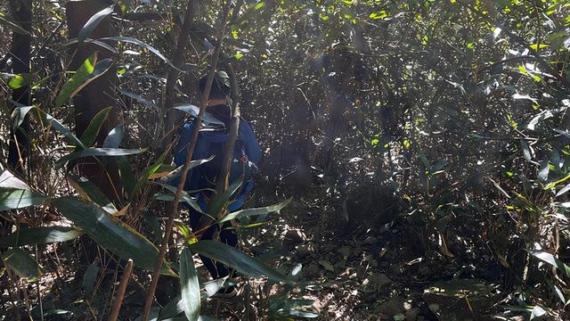 广州徒步登山经典路线，​黄埔秘境在这里