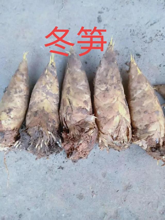 冬笋炖排骨的做法，排骨和笋炖汤的做法