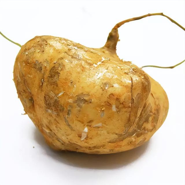 凉薯糖尿病(凉薯糖尿病人能吃吗百度百科)