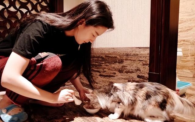 历届双料金鹰女神都有谁，再看金鹰女神8位得主生存状况