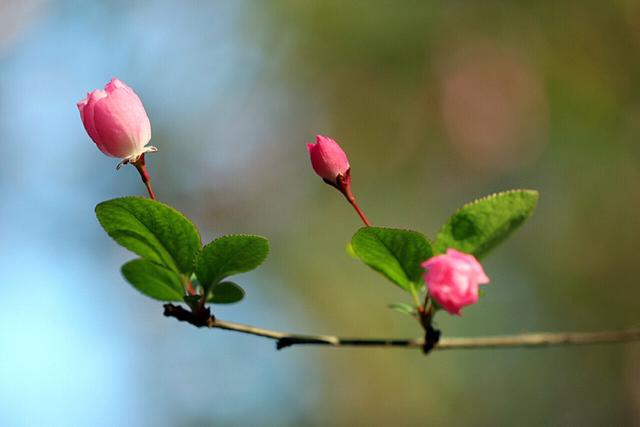 飞花令里读诗词，飞花令诗词大全（飞花令里读诗词）