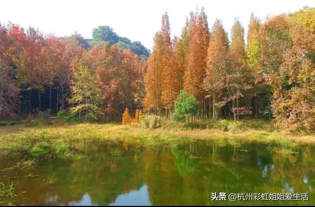 杭州春游适合的地方，风景绝美好玩不贵