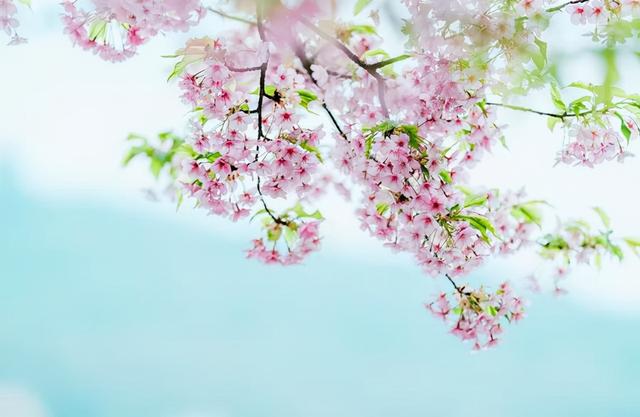 在异性之间是否有纯友谊，异性之间的纯友谊