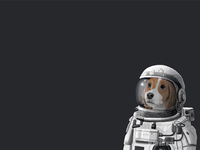 电脑桌面壁纸搞笑，电脑桌面壁纸上班族搞笑