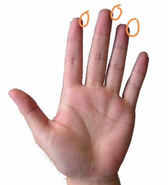 二胡入门指法图解，二胡指法手型图解（二胡左手手型和按弦方法图解）